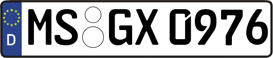 MS-GX0976