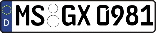 MS-GX0981
