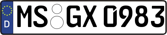 MS-GX0983