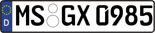 MS-GX0985