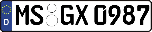 MS-GX0987