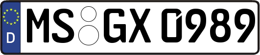 MS-GX0989