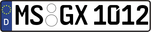 MS-GX1012