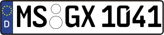 MS-GX1041