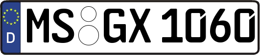 MS-GX1060
