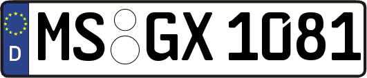 MS-GX1081