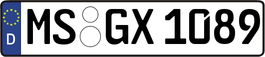 MS-GX1089