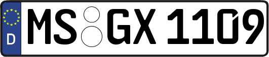 MS-GX1109