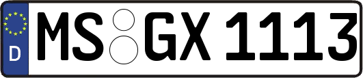 MS-GX1113
