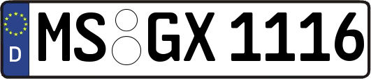 MS-GX1116