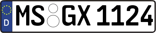 MS-GX1124