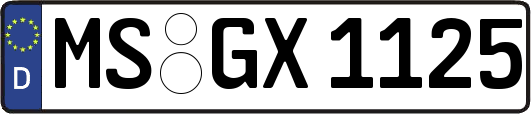 MS-GX1125