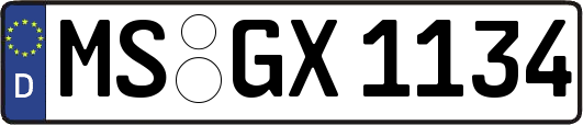 MS-GX1134