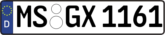 MS-GX1161