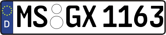 MS-GX1163