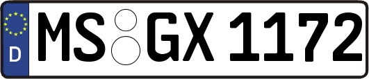 MS-GX1172