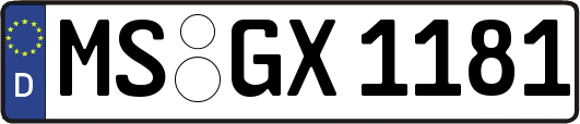 MS-GX1181