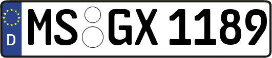 MS-GX1189