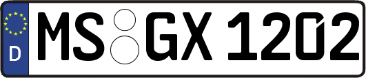 MS-GX1202