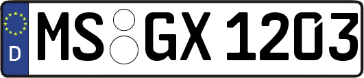 MS-GX1203