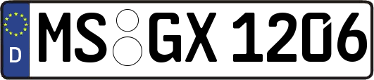 MS-GX1206