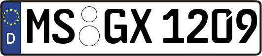 MS-GX1209