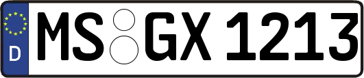 MS-GX1213