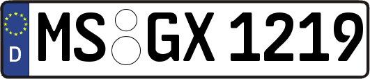MS-GX1219