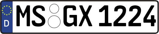 MS-GX1224