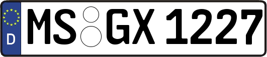 MS-GX1227
