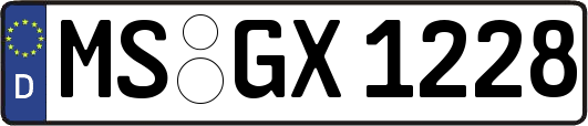 MS-GX1228
