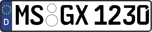 MS-GX1230