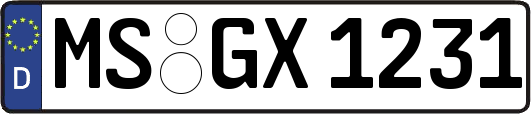 MS-GX1231