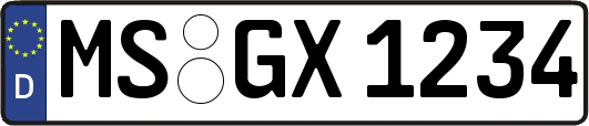 MS-GX1234