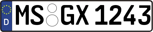 MS-GX1243