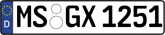 MS-GX1251