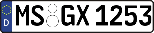 MS-GX1253