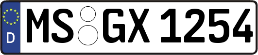MS-GX1254