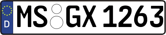 MS-GX1263
