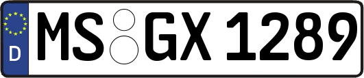 MS-GX1289