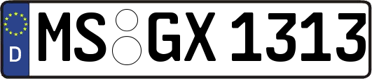 MS-GX1313