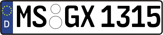 MS-GX1315