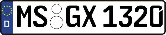 MS-GX1320