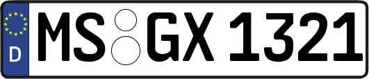 MS-GX1321
