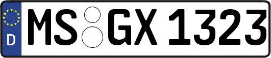 MS-GX1323