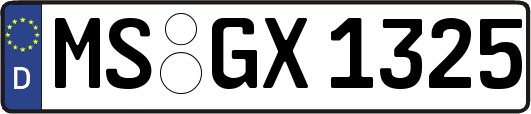 MS-GX1325