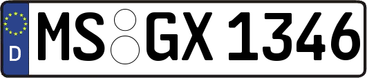 MS-GX1346
