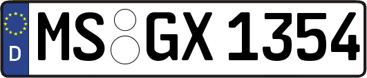 MS-GX1354