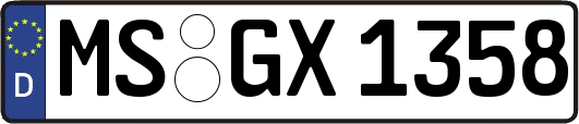 MS-GX1358