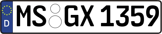 MS-GX1359